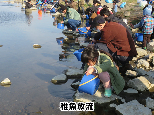 稚魚放流