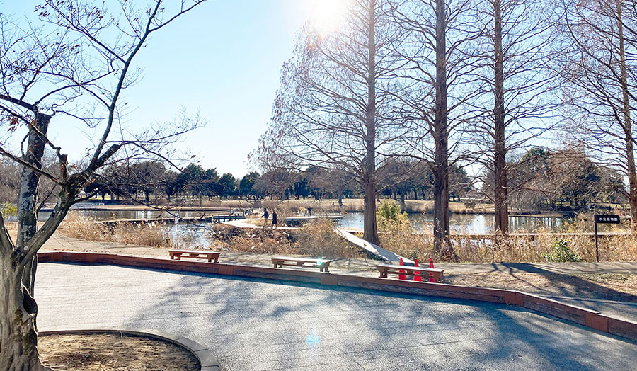 写真：羽生水郷公園